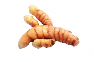 Curcuma