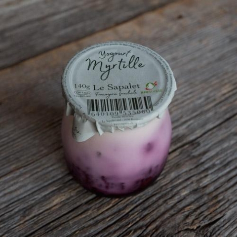 Yogourt Myrtille
