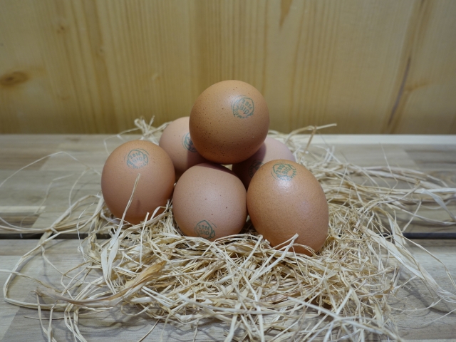 Oeufs boîte de 6
