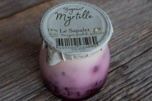 Yogourt Myrtille